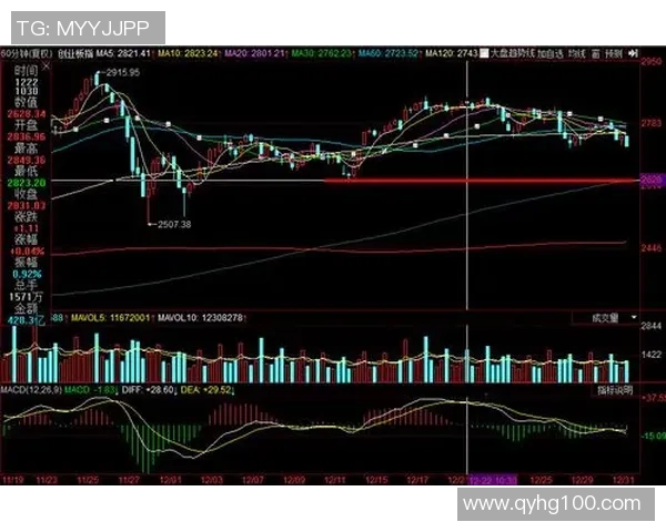 上海羽毛球队与南京羽毛球队赛后复盘分析比赛节奏与关键表现