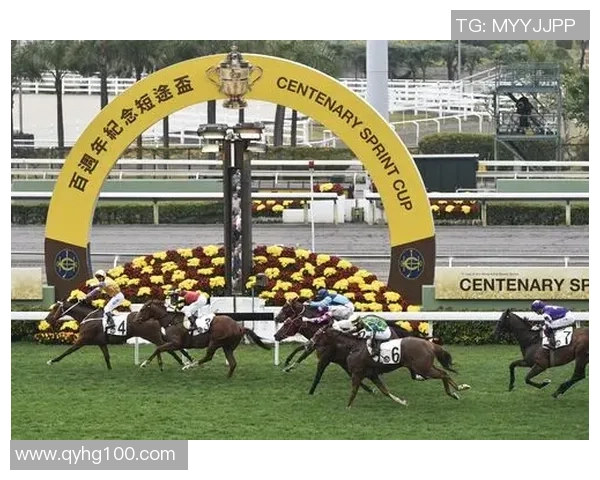 香港赛马与足球赛事最新赛果分析及派彩策略分享