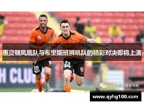 惠灵顿凤凰队与布里斯班狮吼队的精彩对决即将上演