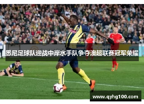 悉尼足球队迎战中岸水手队争夺澳超联赛冠军荣耀